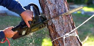 Reliable Gates Mills, OH Tree Removal and Landscaping Services Solutions